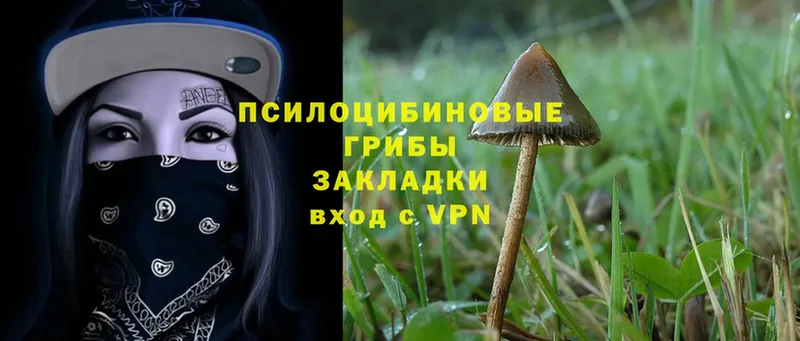 Псилоцибиновые грибы MAGIC MUSHROOMS  Ворсма 